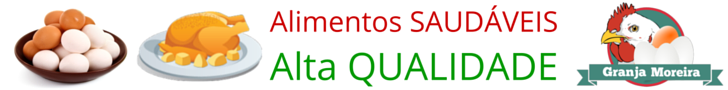 banner 2 728 x 90