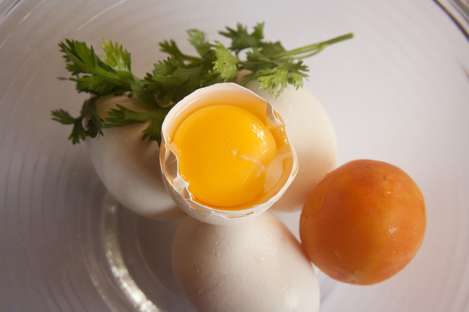 5 motivos para inserir ovos na sua dieta